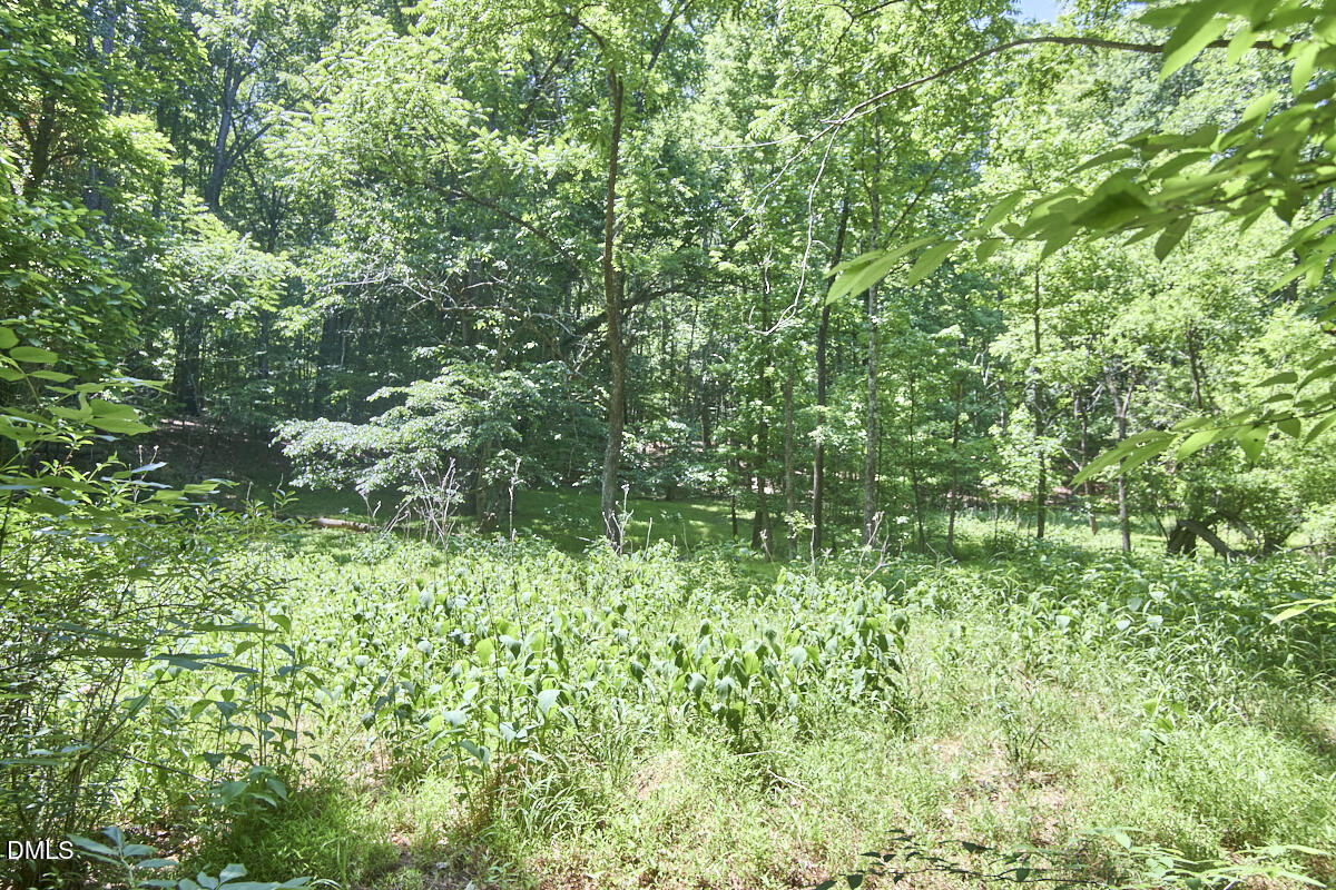 4204 Kerley Road Durham, NC 27705 - Photo 30 of 34 a backyard of a house with lots of plants