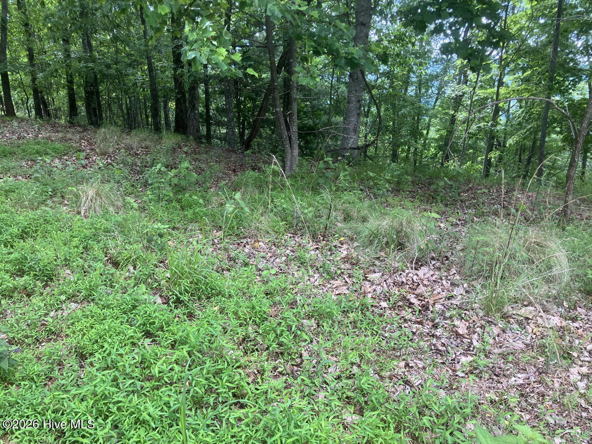 Lot 51 Buck Ridge Drive Murphy, NC 28906 - Photo 8 of 10