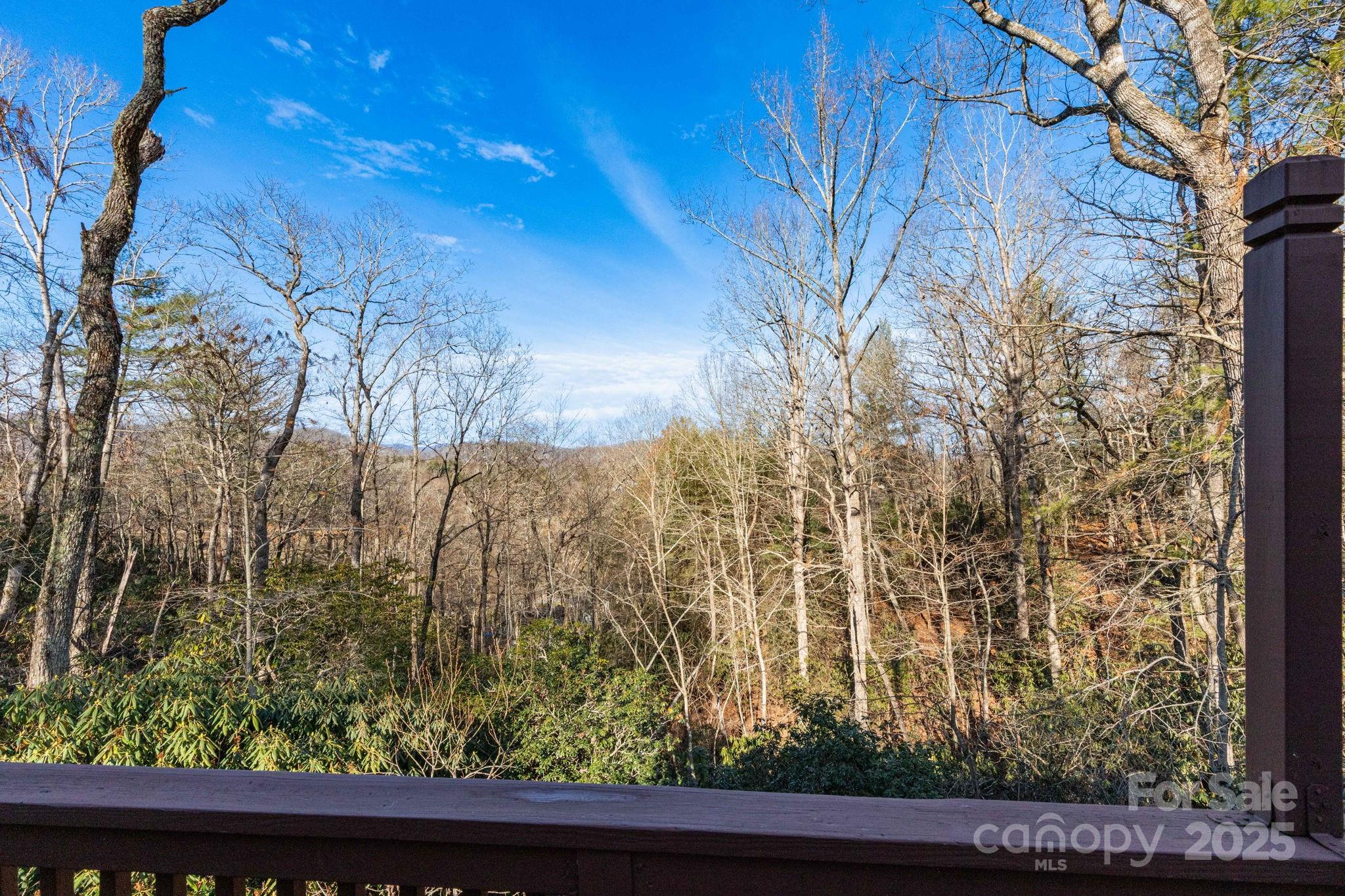 137 Warlick Road Mills River, NC 28759 - Photo 22 of 39
