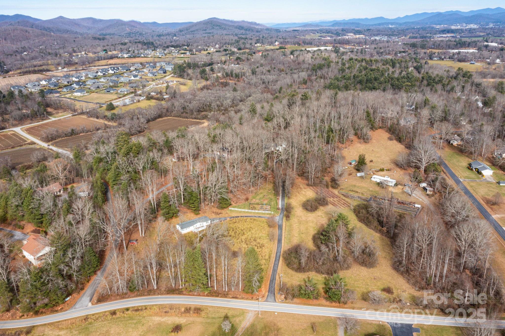137 Warlick Road Mills River, NC 28759 - Photo 35 of 39