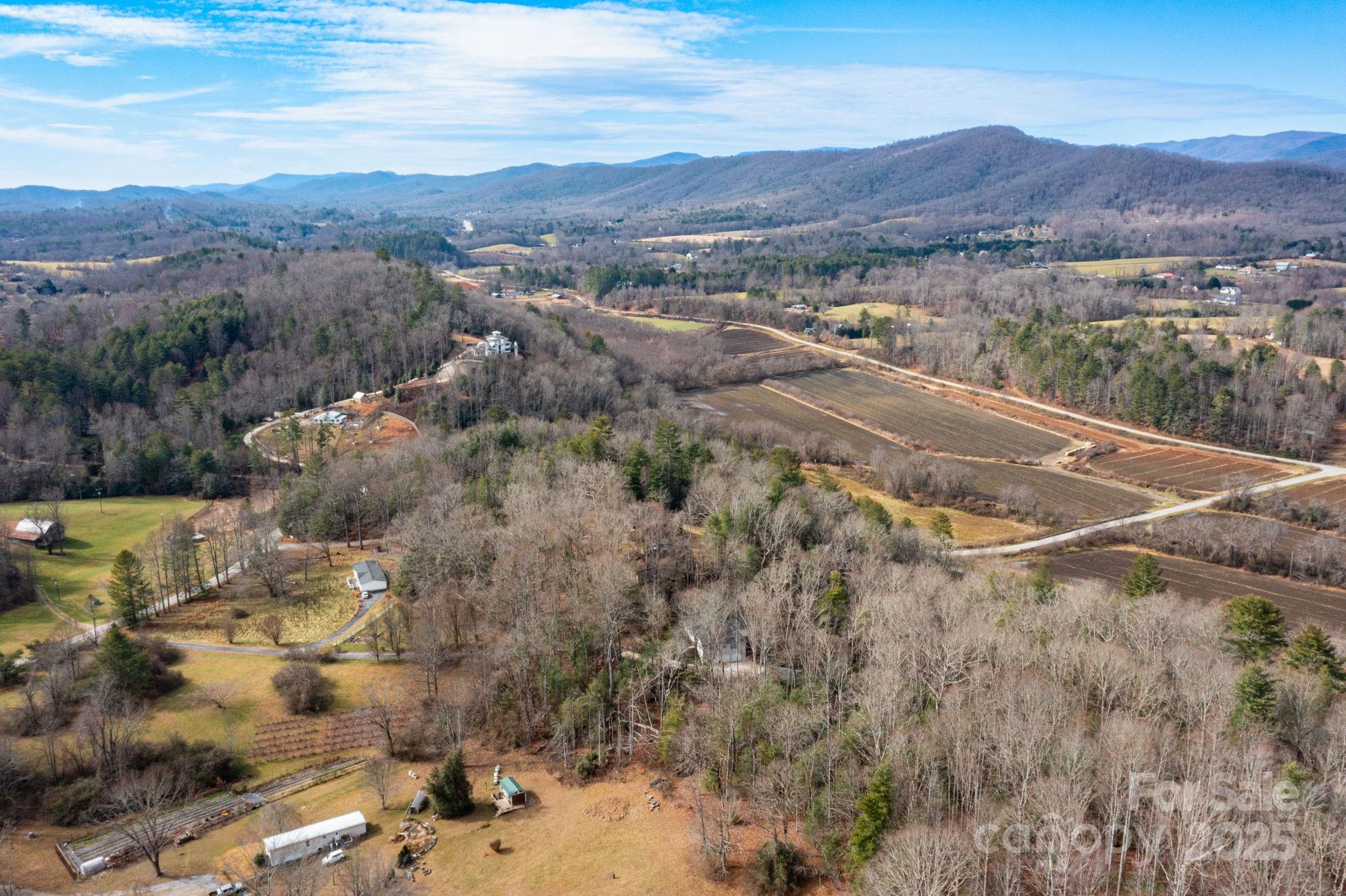 137 Warlick Road Mills River, NC 28759 - Photo 36 of 39
