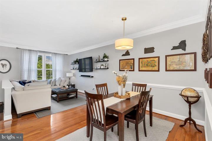 43173 Riders Square Ashburn, VA 20148 - Photo 5 of 35 Open living/dining room area