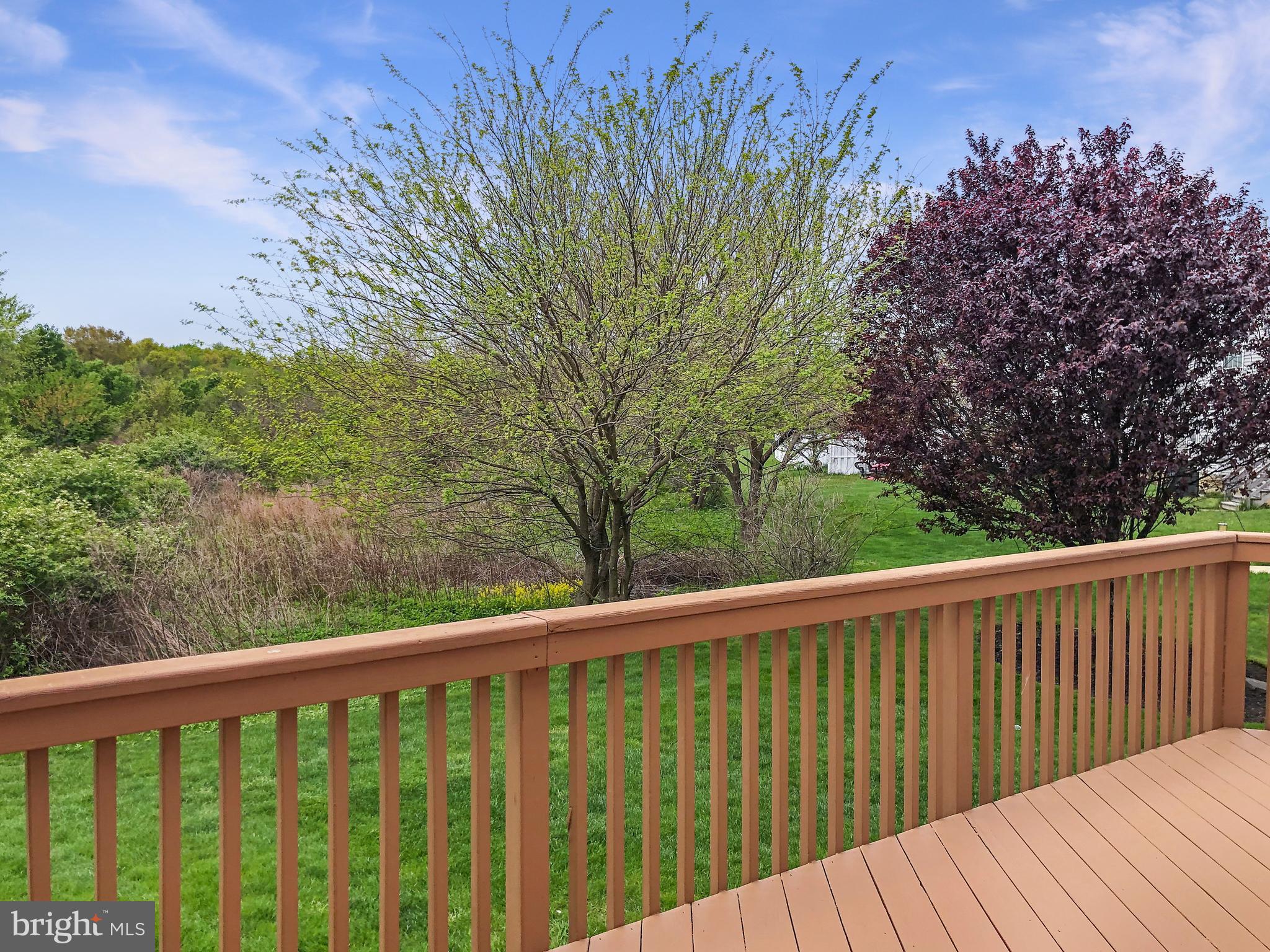 31 Chapel Hill Road Mount Laurel, NJ 08054 - Photo 31 of 33 Rear View from deck (off kitchen)