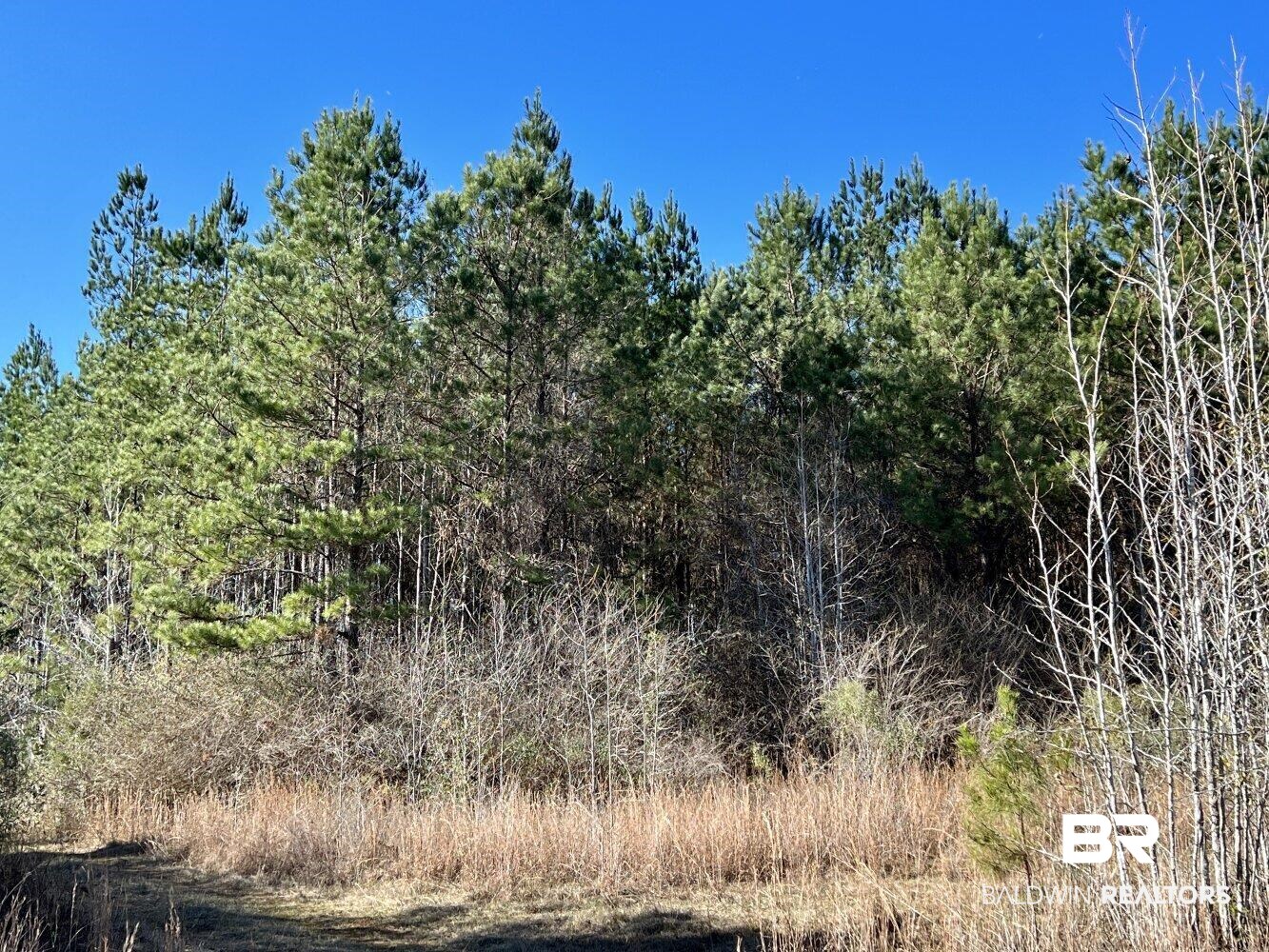 0 Highway 84 Evergreen, AL 36401 - Photo 32 of 50