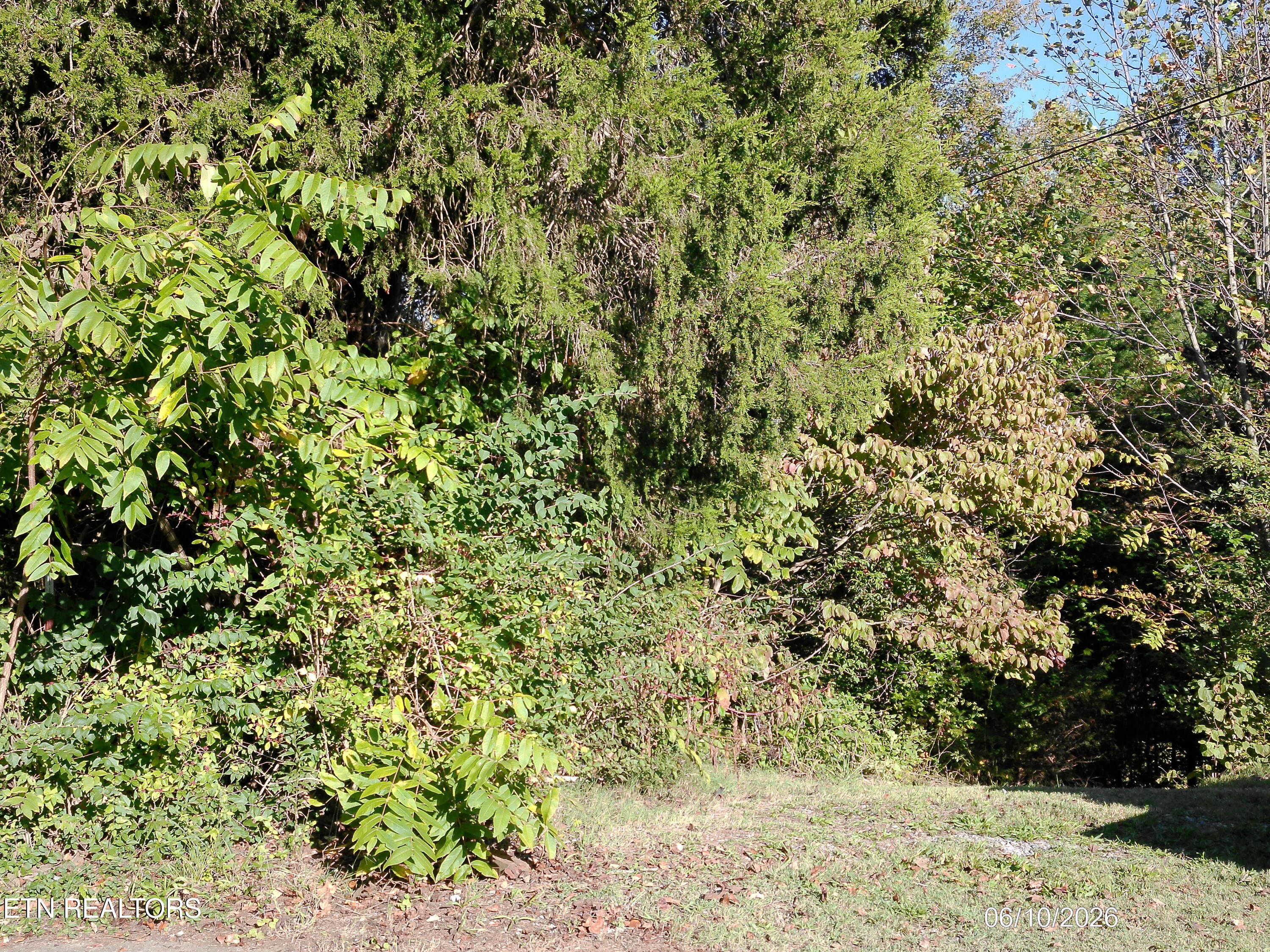 Ridge Road Maryville, TN 37803 - Photo 7 of 9 DSCF0033
