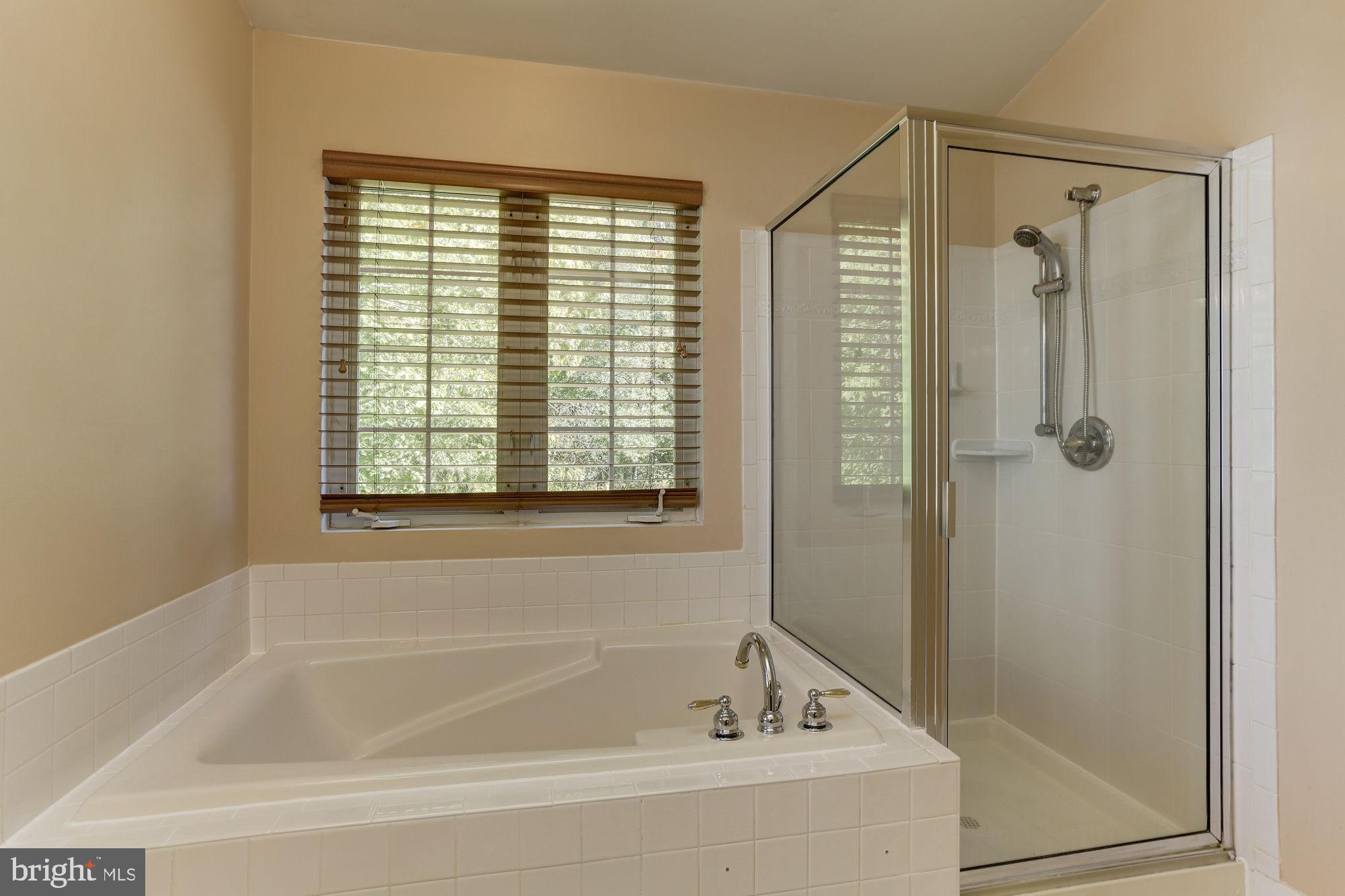 9514 Ridgeview Drive Columbia, MD 21046 - Photo 33 of 60 Large soaking tub and separate shower!