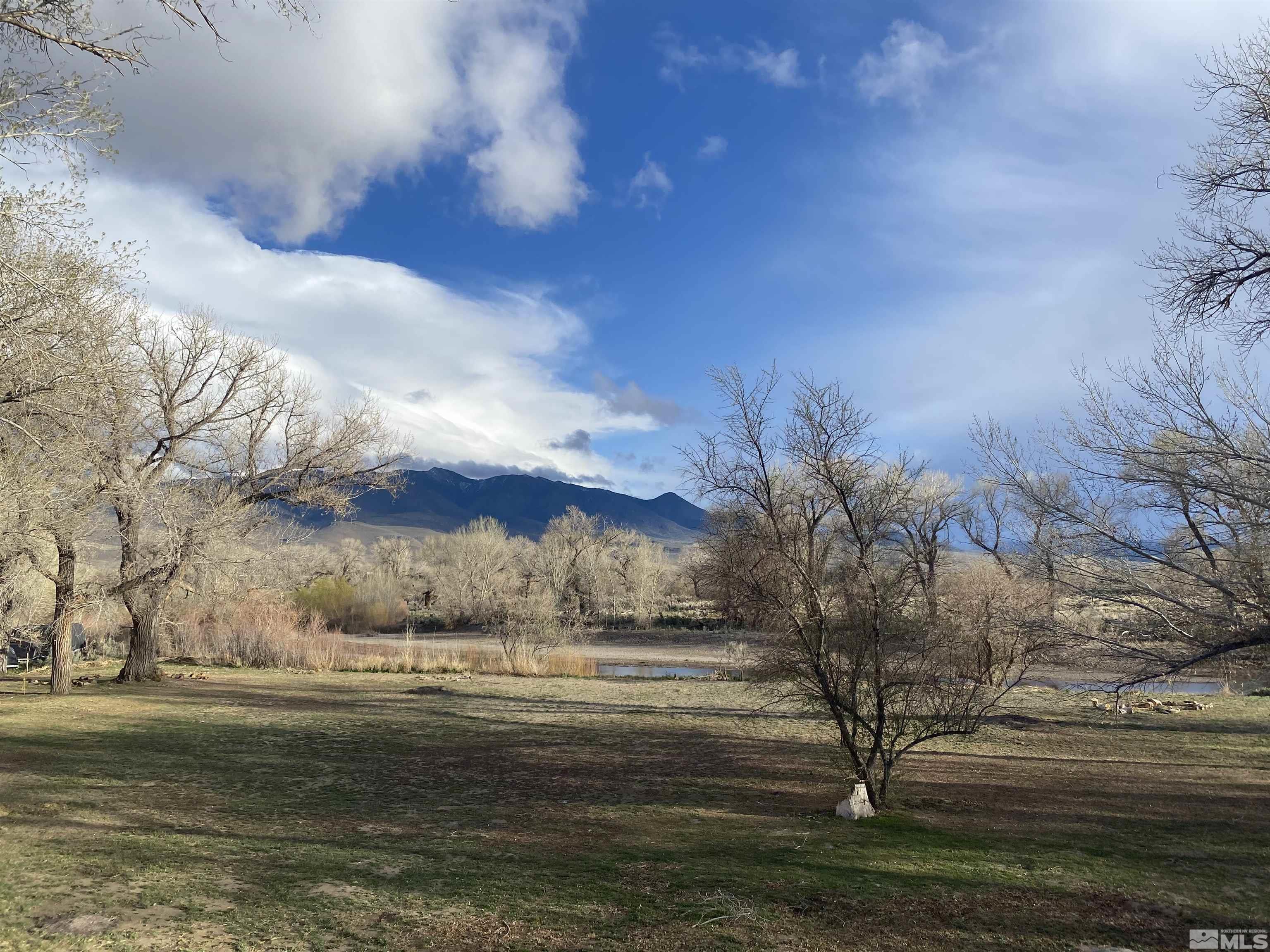 319 River Road Dayton, NV 89403 - Photo 4 of 40 Photo 4