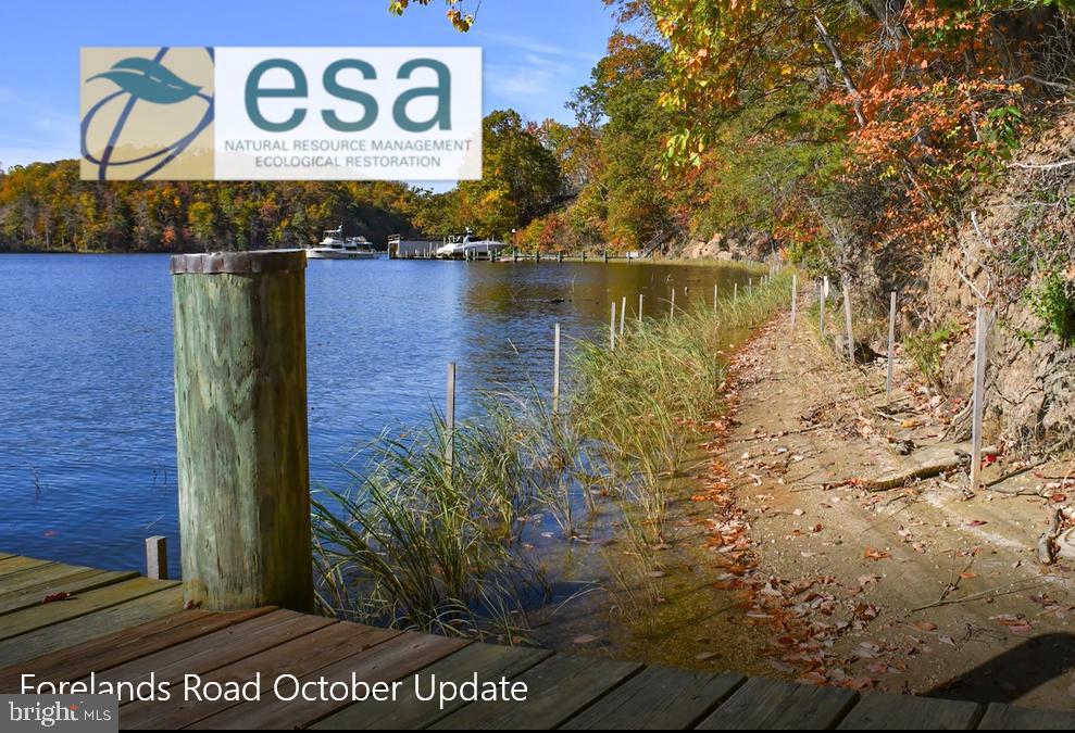 397 Forelands Road Annapolis, MD 21401 - Photo 80 of 83