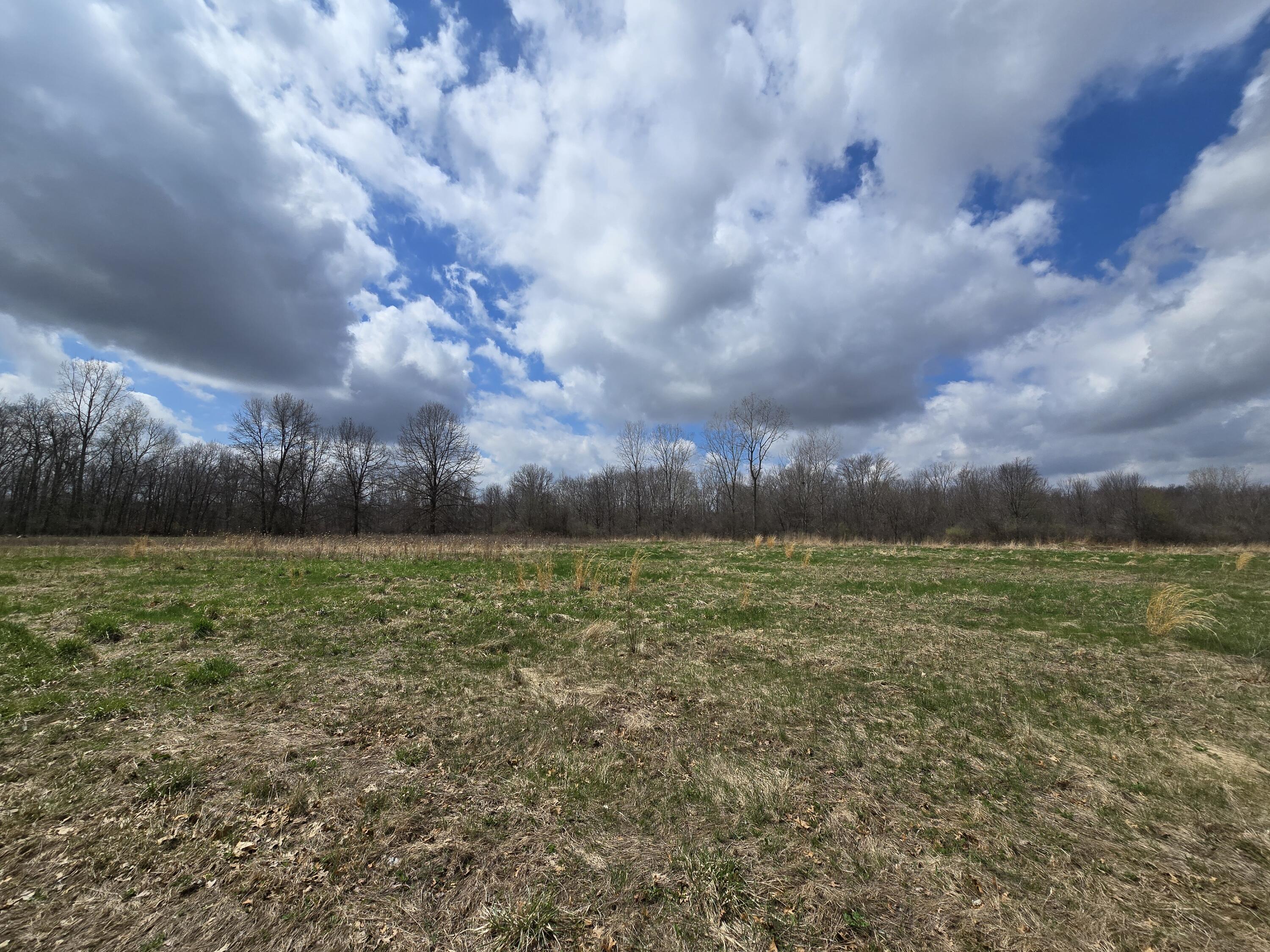 1284 Maplegrove Road Jackson, MI 49201 - Photo 32 of 45 20260413_132203
