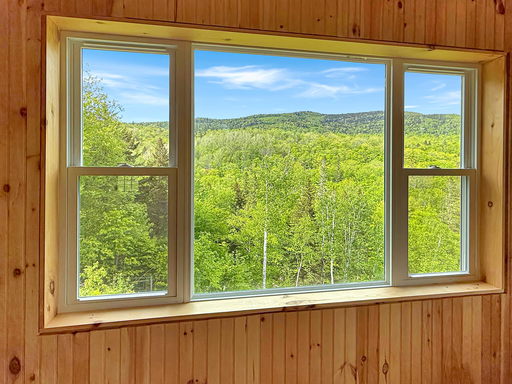 131 Bateman Lane Roxbury, ME 04275 - Photo 19 of 37 IMG_3461