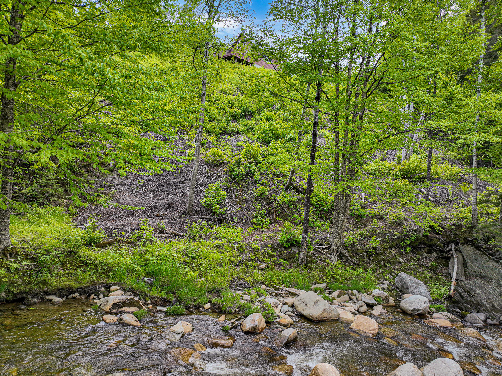 131 Bateman Lane Roxbury, ME 04275 - Photo 35 of 37 DJI_0875