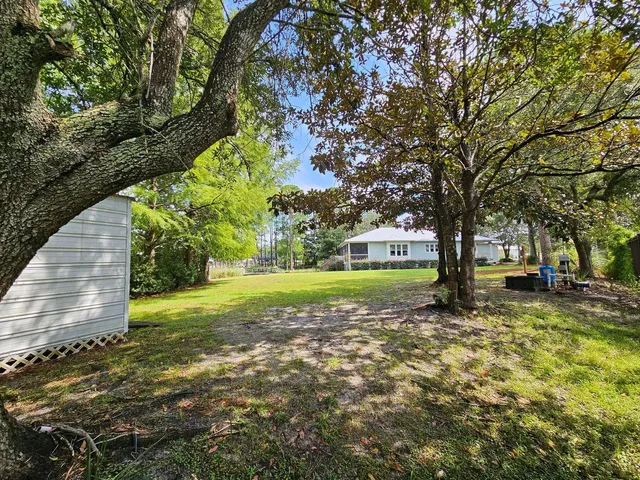 a view of a garden with large trees