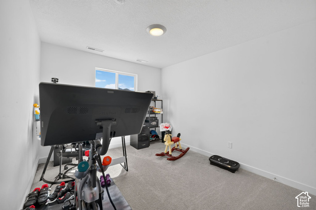 428 Quartz Road Tooele, UT 84074 - Photo 21 of 35 Bedroom #4 upstairs