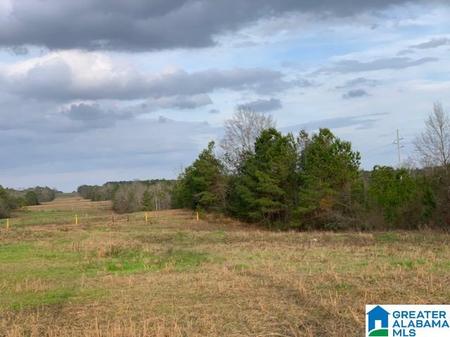 0 County Road 99, Unit 1 Verbena, AL 36091 - Photo 3 of 11