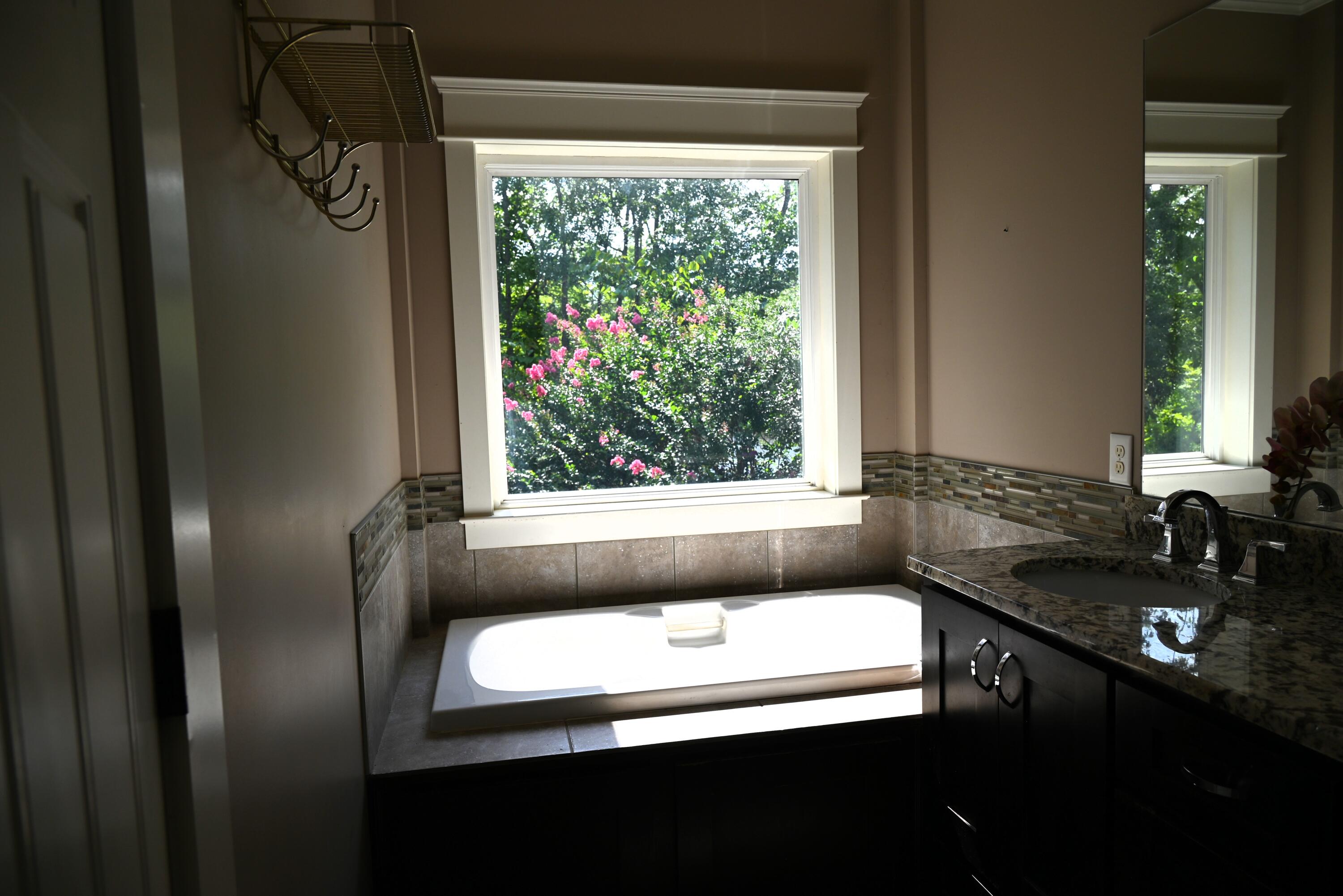 10952 Prairie Lake Drive Apison, TN 37302 - Photo 32 of 56 Beautiful View