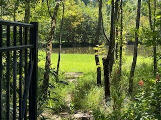 10952 Prairie Lake Drive Apison, TN 37302 - Photo 50 of 56 10033