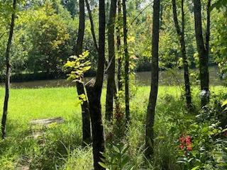 10952 Prairie Lake Drive Apison, TN 37302 - Photo 52 of 56 10030