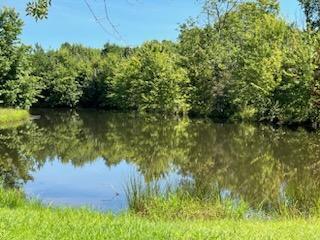 10952 Prairie Lake Drive Apison, TN 37302 - Photo 54 of 56 10028