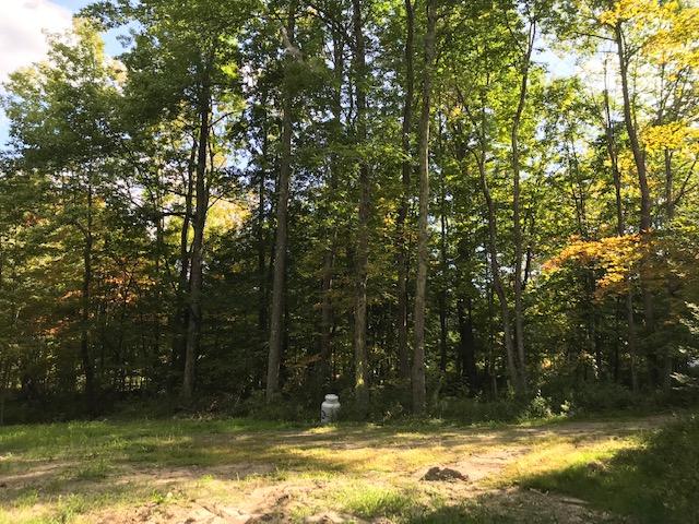 683 Post Road Bowdoinham, ME 04008 - Photo 6 of 11 IMG_5601