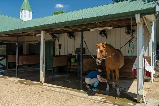 $4,800,000 | 450 North Reid Hooker Road, Eads, TN 38028