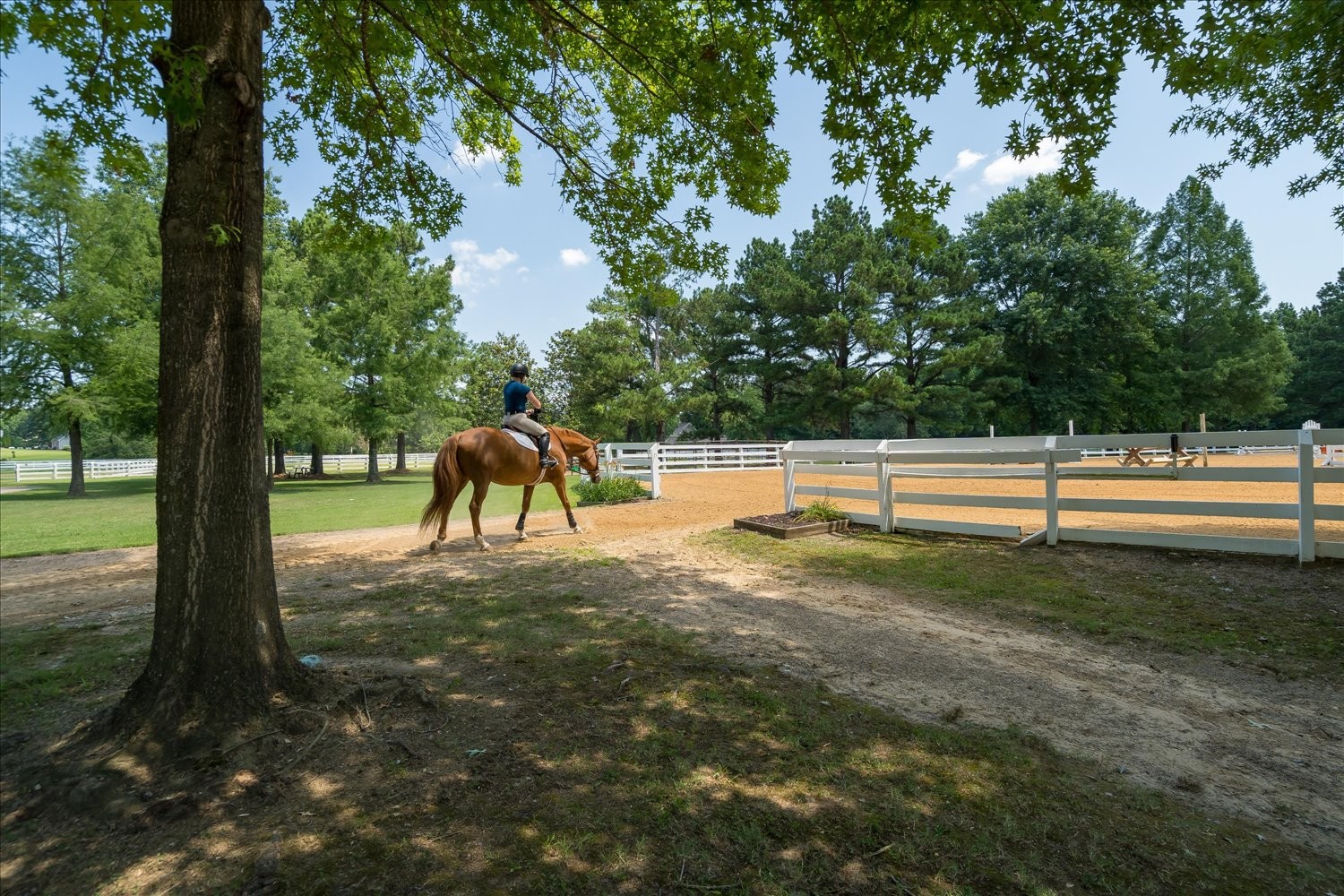450 North Reid Hooker Road Eads, TN 38028 - Photo 27 of 68