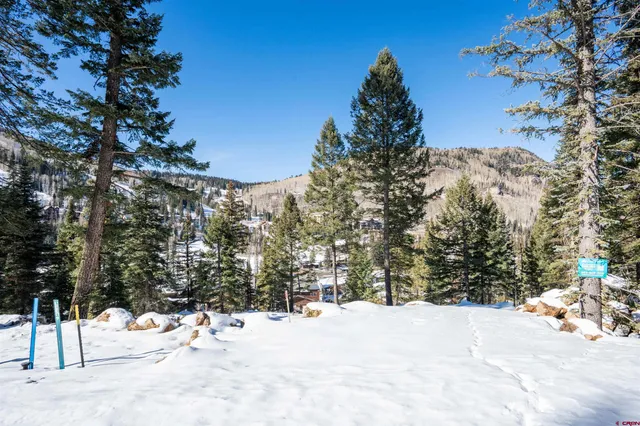 a view of a snow yard and mountain