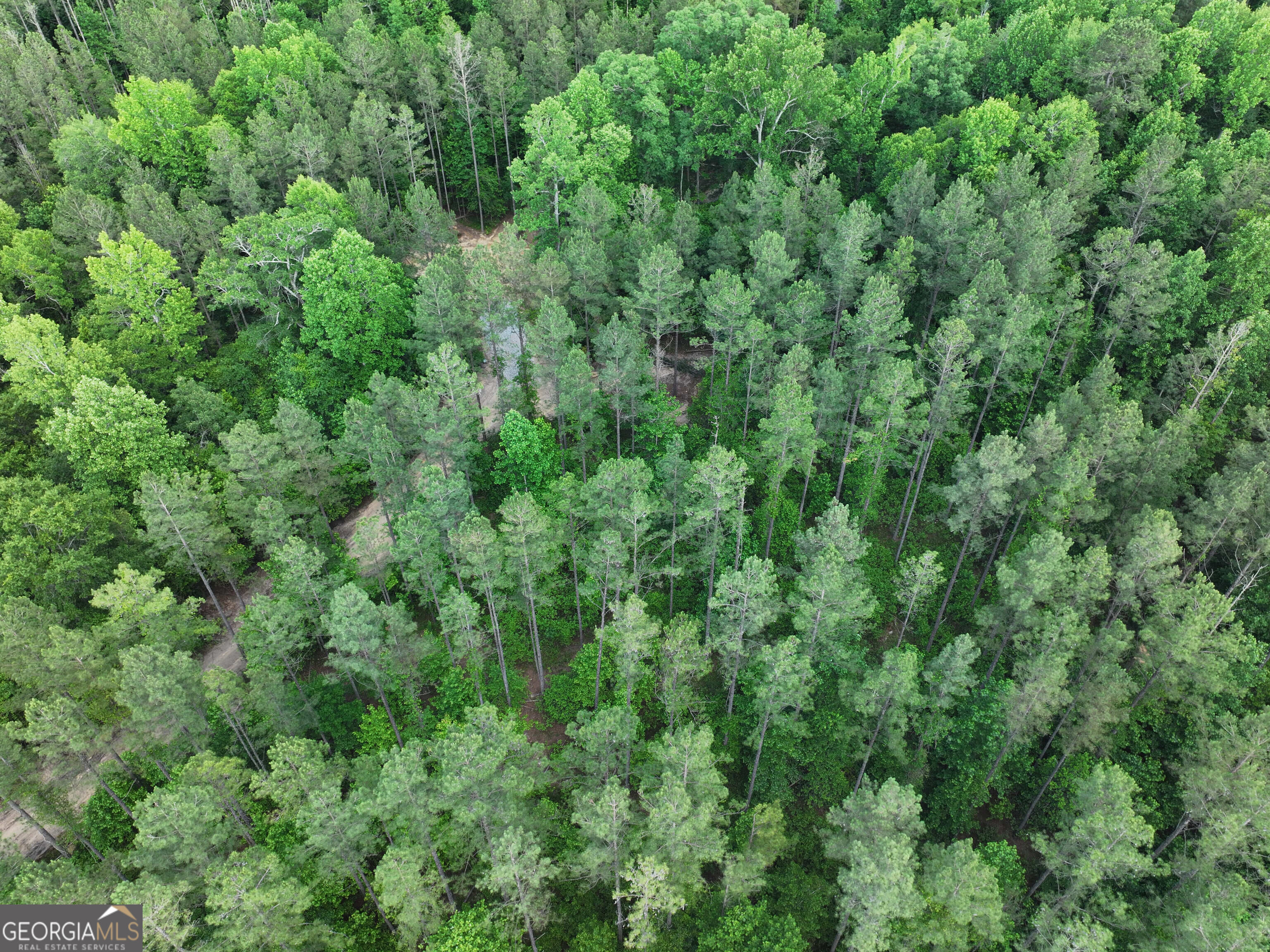 195 County Line Road Morris, GA 39867 - Photo 23 of 69 Gallery Image 23
