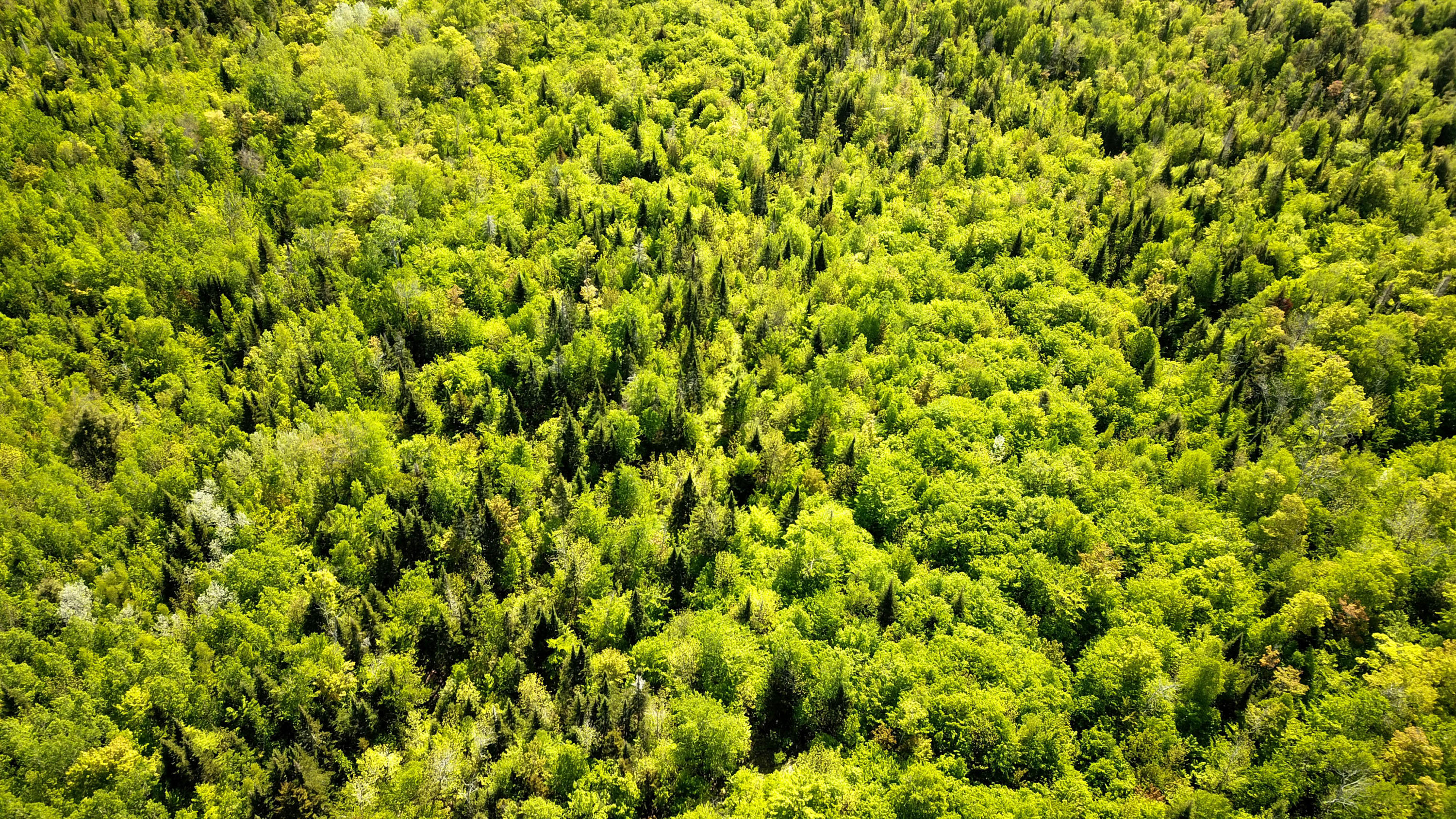 Lot 18.4 Lee Road Carroll Plt, ME 04487 - Photo 14 of 15 Aerial View