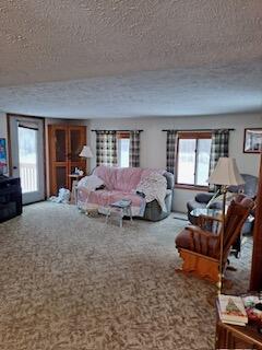 11402 Highway 60 Three Rivers, MI 49093 - Photo 36 of 44 rink home pic 5