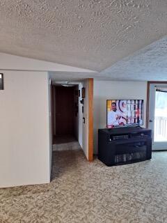 11402 Highway 60 Three Rivers, MI 49093 - Photo 38 of 44 rink home pic 6