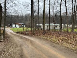 11402 Highway 60 Three Rivers, MI 49093 - Photo 39 of 44 rink home pic 4