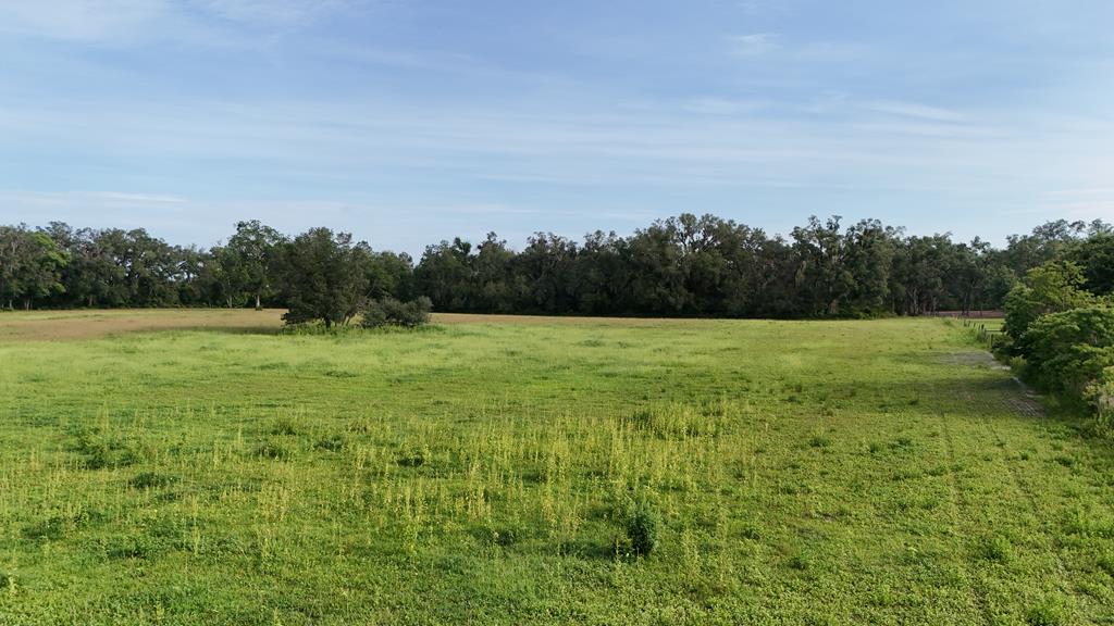 Vacant 145th Road Live Oak, FL 32060 - Photo 28 of 42