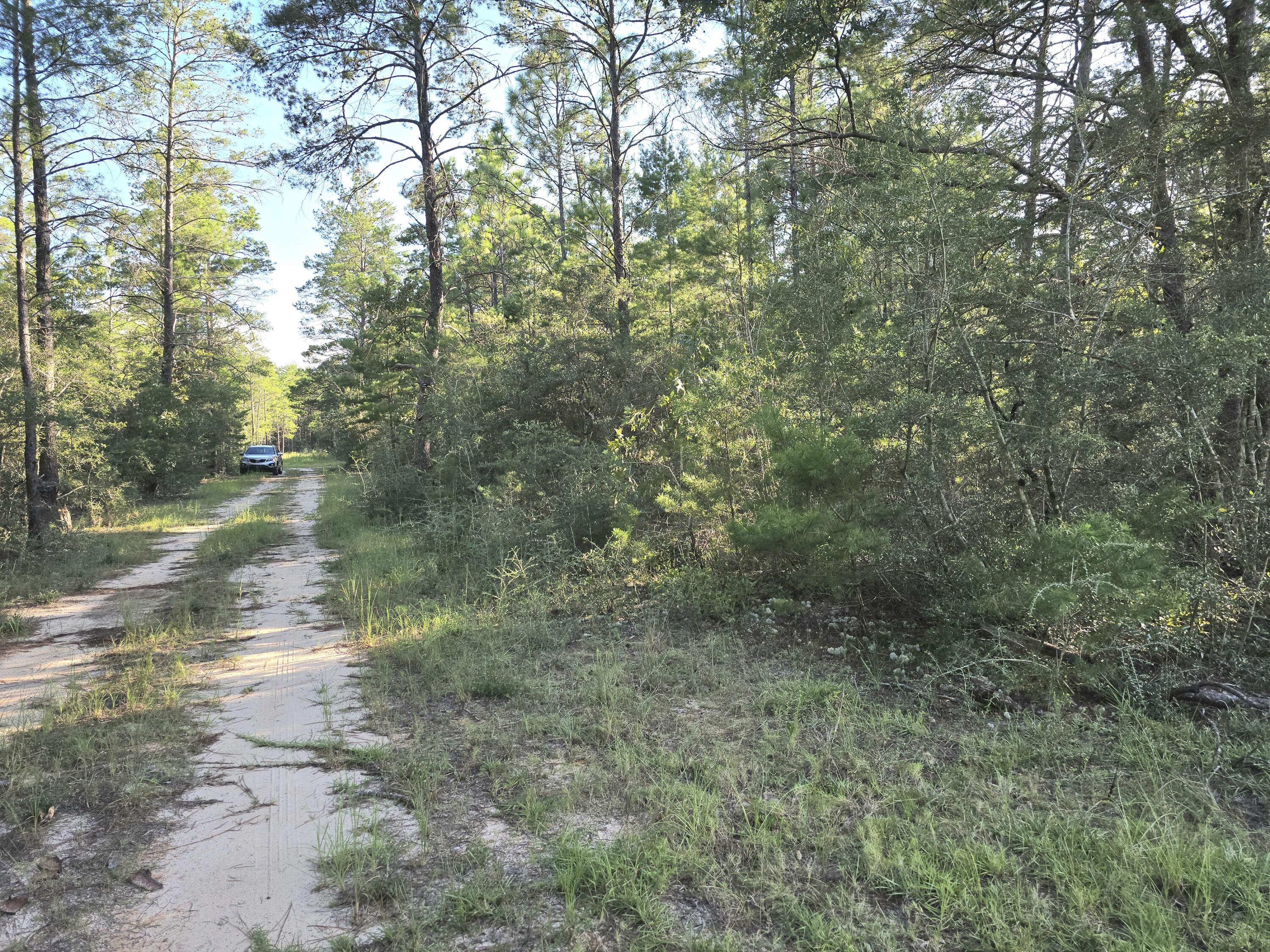 Tbd Randi Road Crestview, FL 32539 - Photo 8 of 10 1000131287