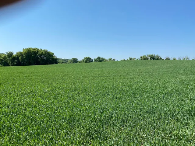 $1,199,000 | 2515 Pioneer Trail, Medina, MN 55340