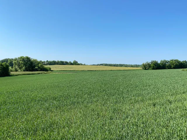 $1,199,000 | 2515 Pioneer Trail, Medina, MN 55340