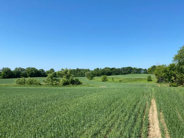 $1,199,000 | 2515 Pioneer Trail, Medina, MN 55340