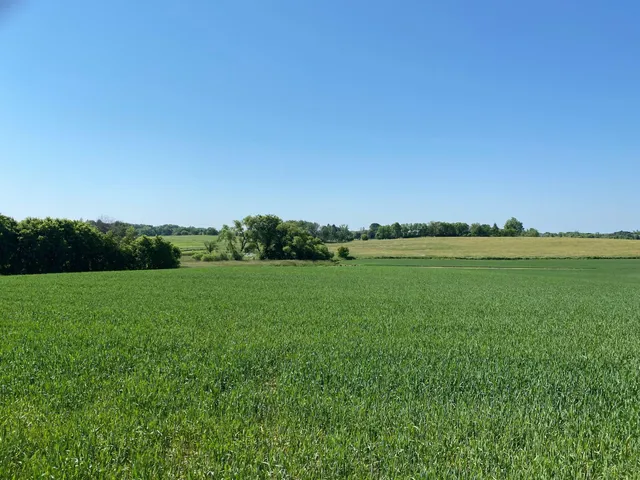 $1,199,000 | 2515 Pioneer Trail, Medina, MN 55340