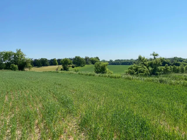 $1,199,000 | 2515 Pioneer Trail, Medina, MN 55340