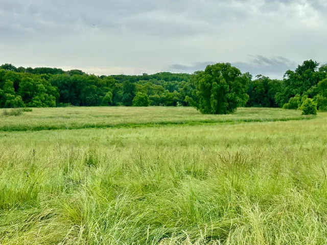 $1,199,000 | 2515 Pioneer Trail, Medina, MN 55340