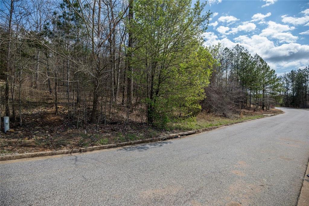 2661 Alexis Way Monroe, GA 30656 - Photo 11 of 12 a view of a forest with trees in the background