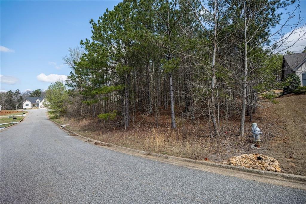 2661 Alexis Way Monroe, GA 30656 - Photo 12 of 12 a view of a street with a trees