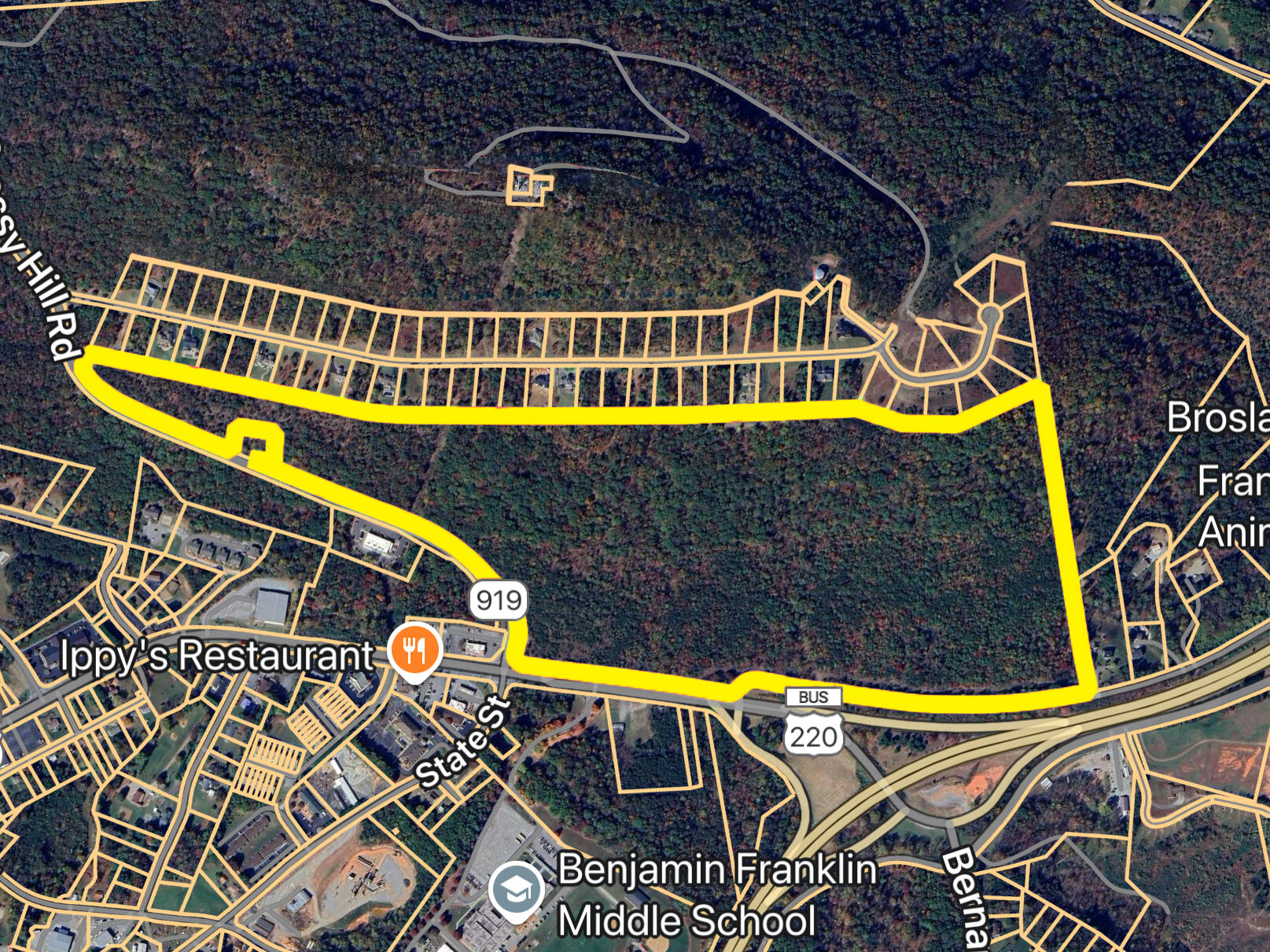 0 North Main Street Rocky Mount, VA 24151 - Photo 17 of 19