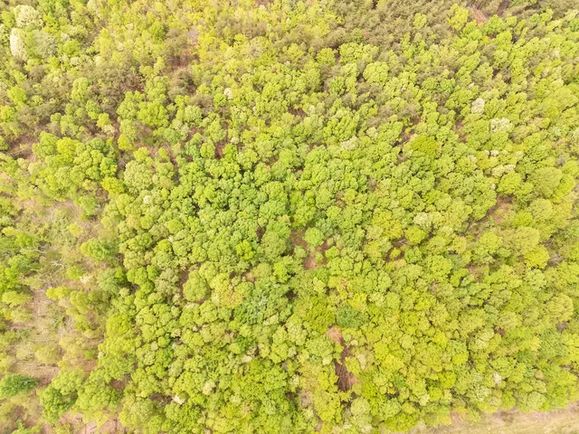 a view of a white wall