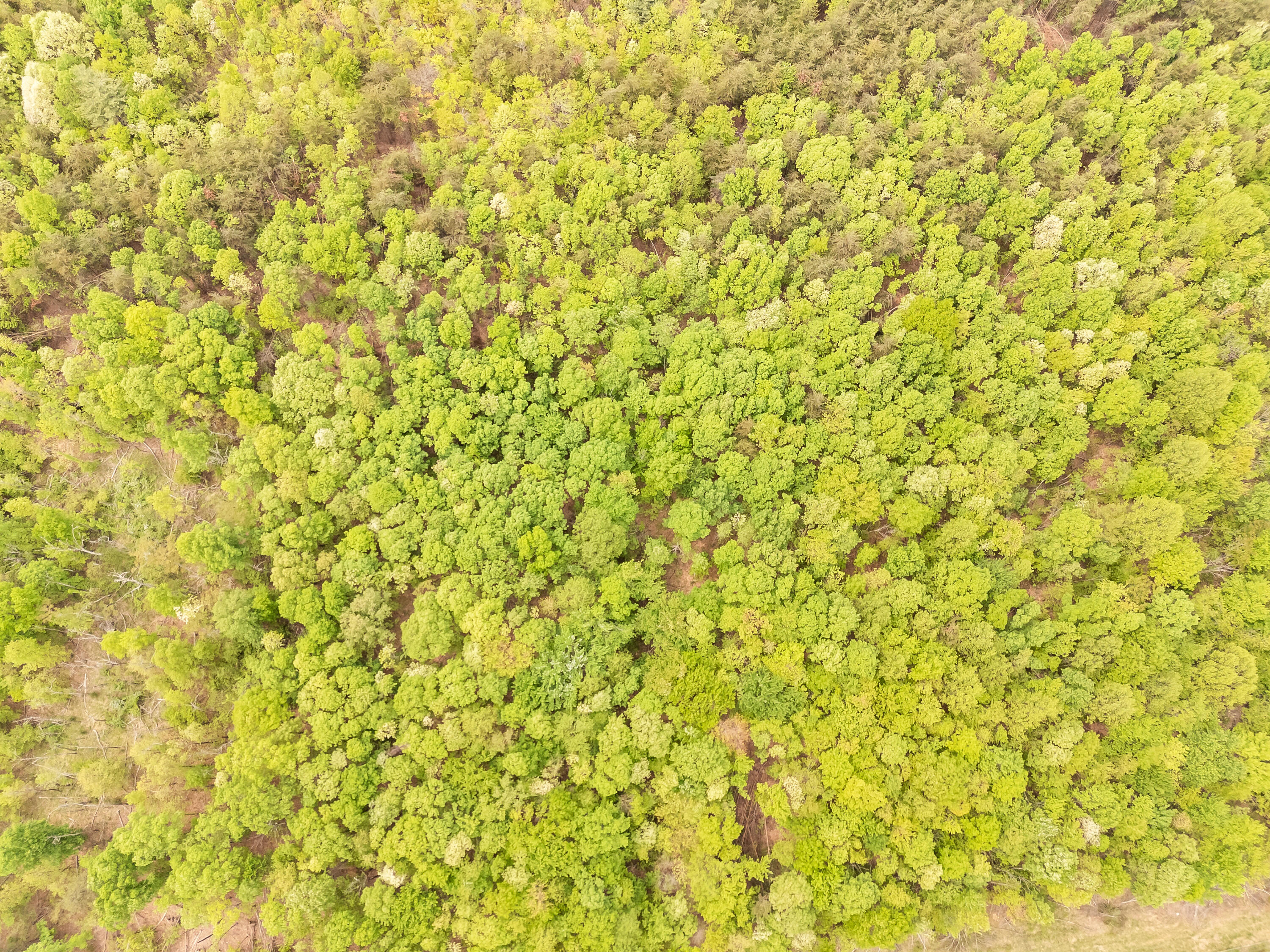 0 North Main Street Rocky Mount, VA 24151 - Photo 3 of 19 a view of a white wall