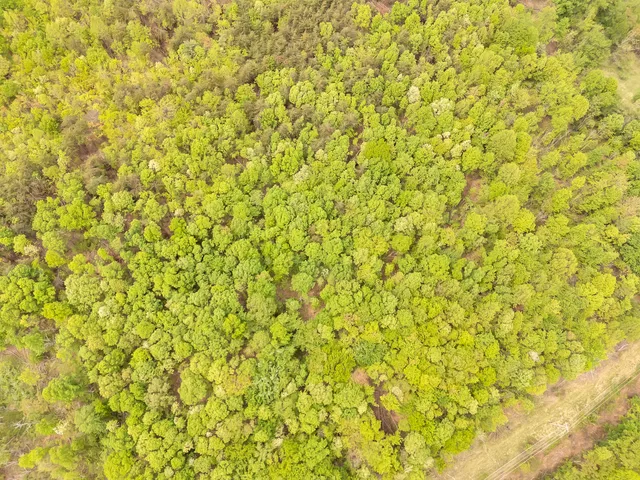 a view of a white wall