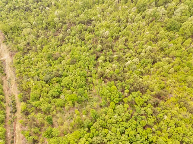 a view of a small yard