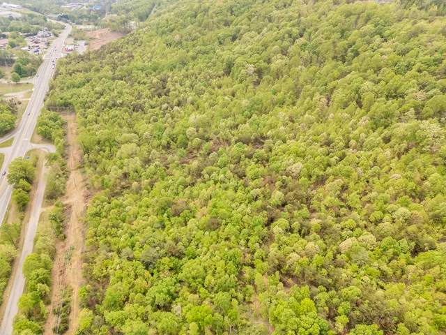 a view of a small yard