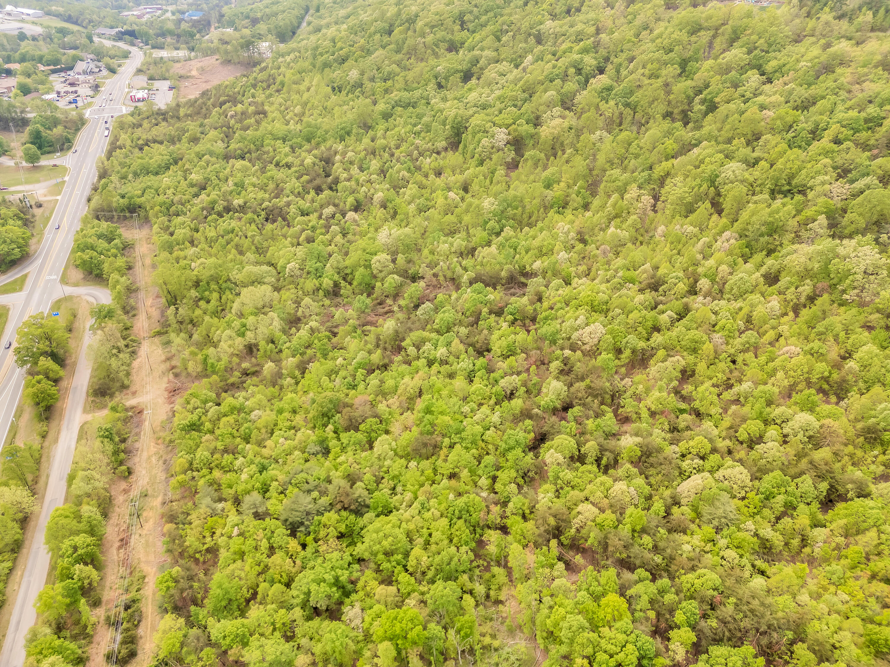 0 North Main Street Rocky Mount, VA 24151 - Photo 6 of 19 a view of a small yard