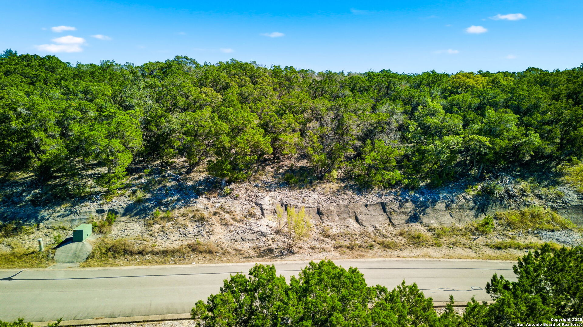 322 PR 1742 Mico, TX 78056 - Photo 10 of 14 a view of a yard with a tree