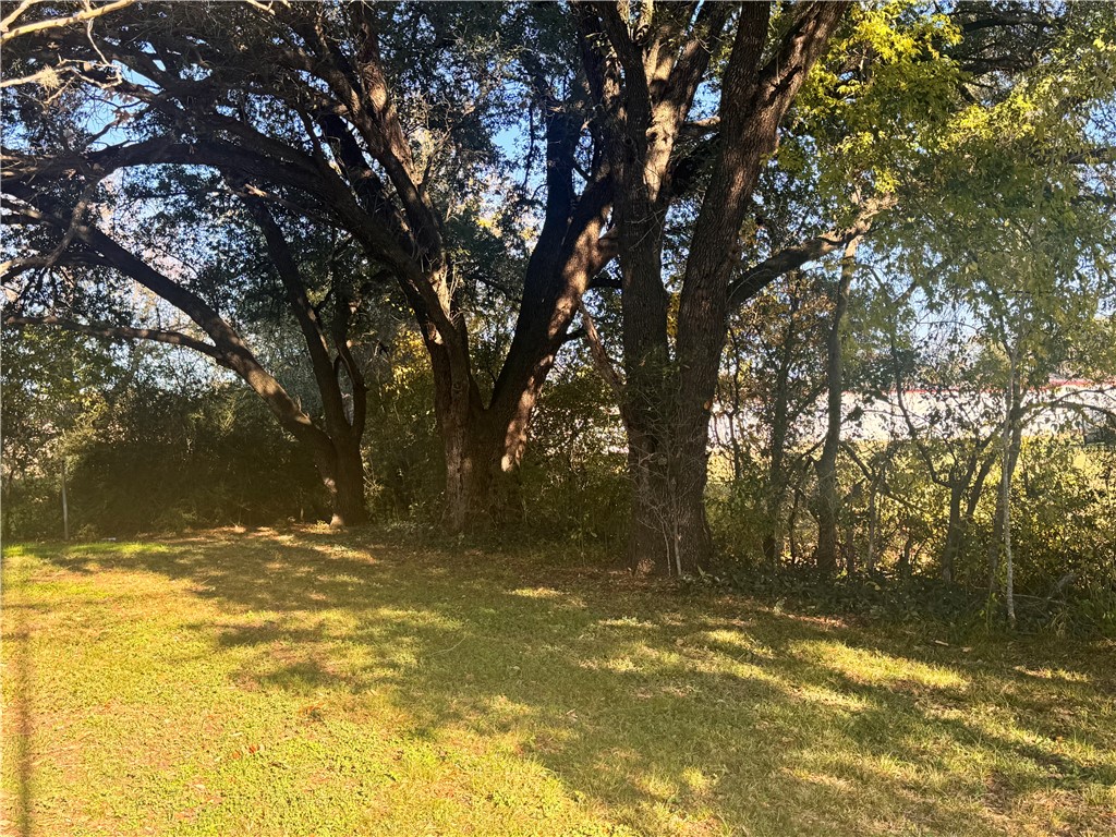 2007 Nuches Lane Bryan, TX 77803 - Photo 3 of 15 a view of a yard with a trees